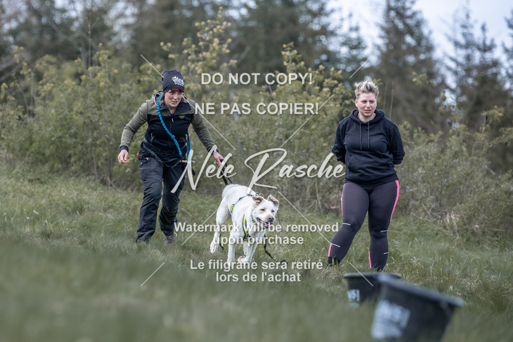 6Z1A0976 | nelerasche