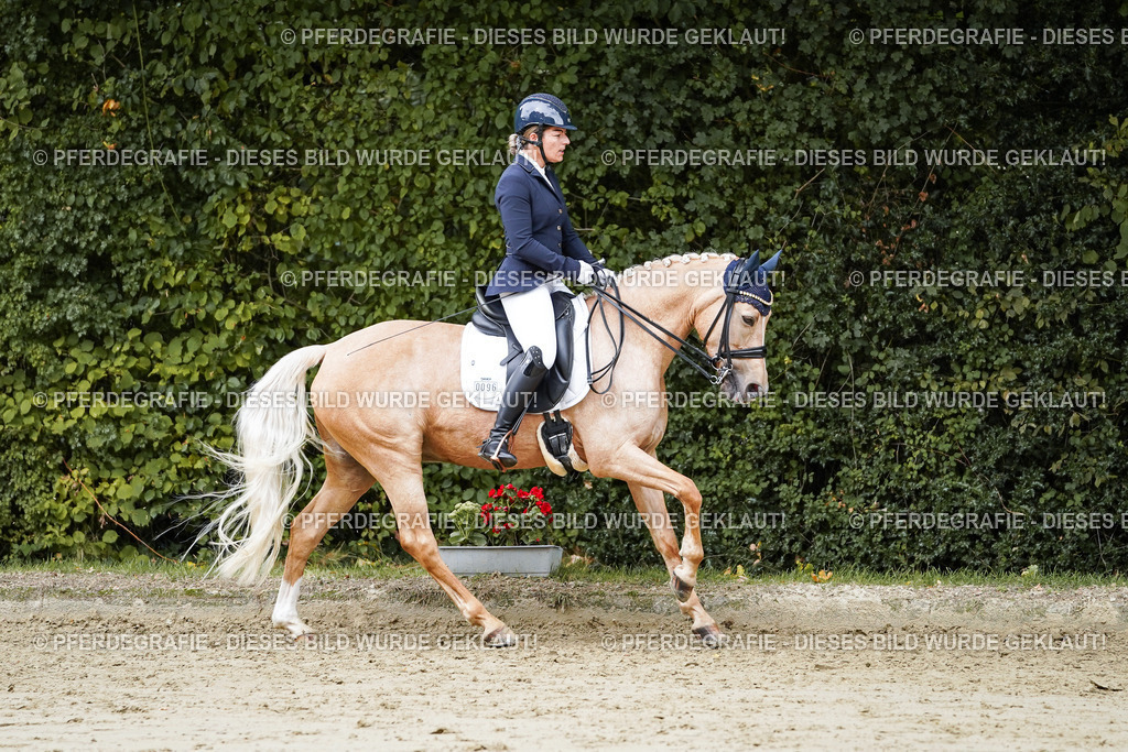 DSC04855 | Pferdegrafie