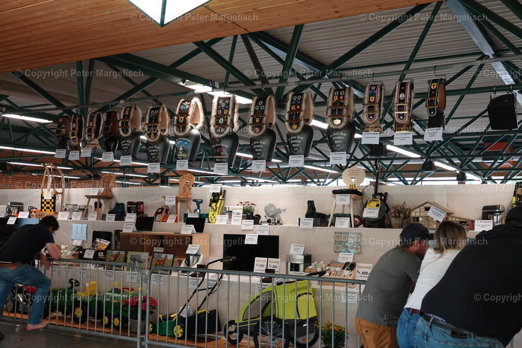 DSC04237 | Schwingen - Realisiert mit Pictrs.com