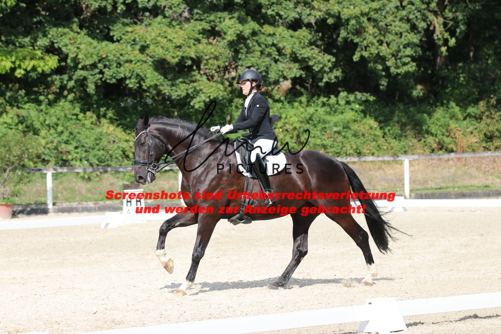 IMG_6923 | lmwpictures - Realisiert mit Pictrs.com