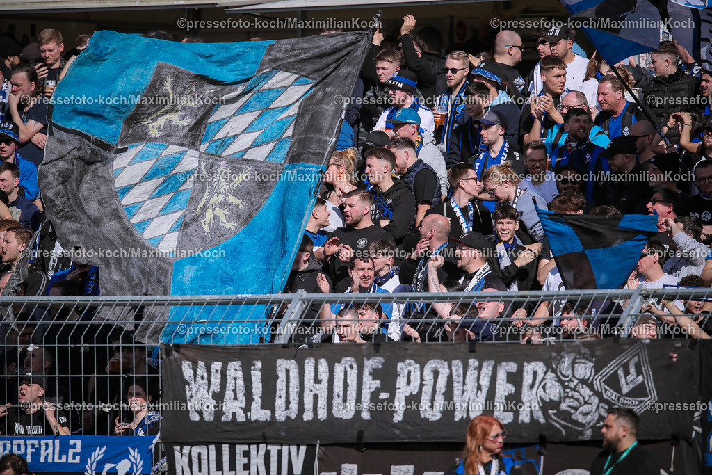 Koe3Liga09032401006 | 09.03.2024, Köln, Fußball, bwin 3. Liga Herren, Sportpark Höhenberg, 29. Spieltag, Saison 2023 2024, FC Viktoria Köln – SV Waldhof Mannheim: Volle Gästetribüne Mannheimfans, Fans Besucher Zuschauer Feature. 
DFB regulations prohibit any use of photographs as image sequences and or quasi-video.