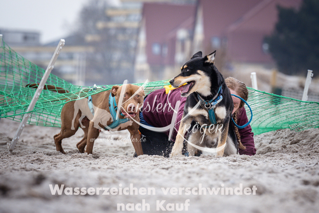 1220_ZZ93602 | kk-dogfotos