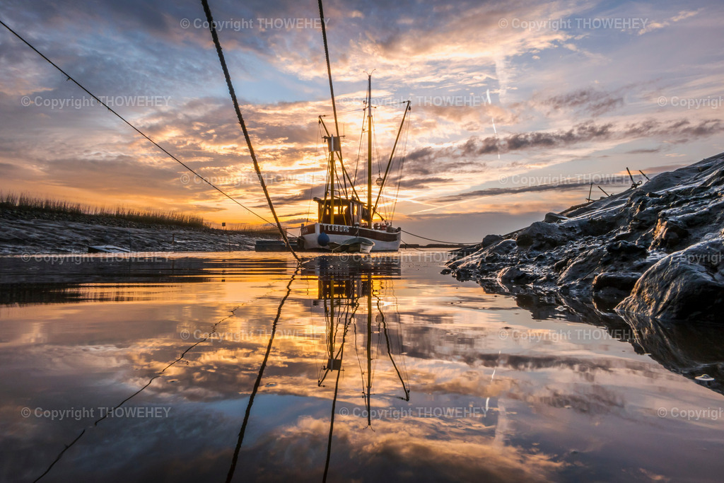 _2680405 | thowehey - Realisiert mit Pictrs.com