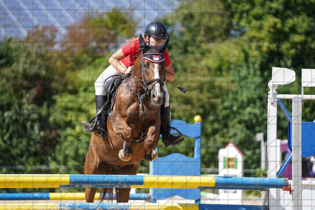 20240824-FAH08377 | Thierhaupten 2024, Bayerisches Landesponyturnier, Turnierbilder, Ponybilder, Turnierfotografen Bayern, Fotoagentur Herrmann