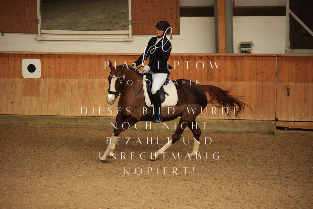 IMGT5128 | pl-fotografie