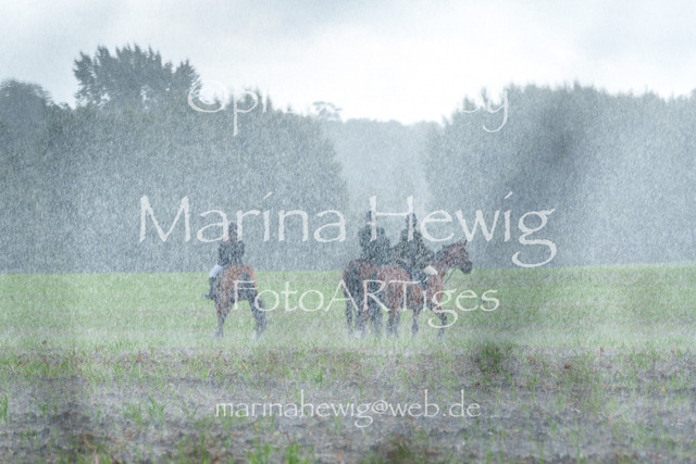Jagd Perdoel 26 Sony-03385_MarinaHewig | Fotografie, FotoArt, PferdesportArt, Pferdesportfotografie, Landschaftsfotografie, Reisefotografie, Reise, Pferde - Realisiert mit Pictrs.com