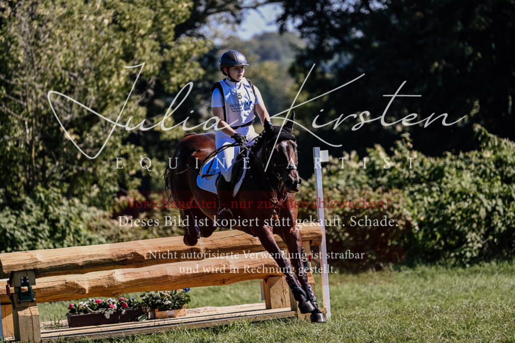 DSC_1526 | Pferde- und Turnierfotografie in Westsachsen. Pferdeportraits, Auftragszeichnungen und intuitive Kunst.