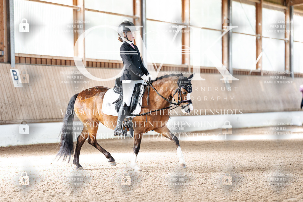 CK908809 | Turnierfotografie Pferdefotografie Trier Rheinland-Pfalz Pferdesport Reitsport Tierfotografie Sportfotografie Pferdevideo Pferdevideografie Equestrianvideography equestrianphotography  - Realisiert mit Pictrs.com