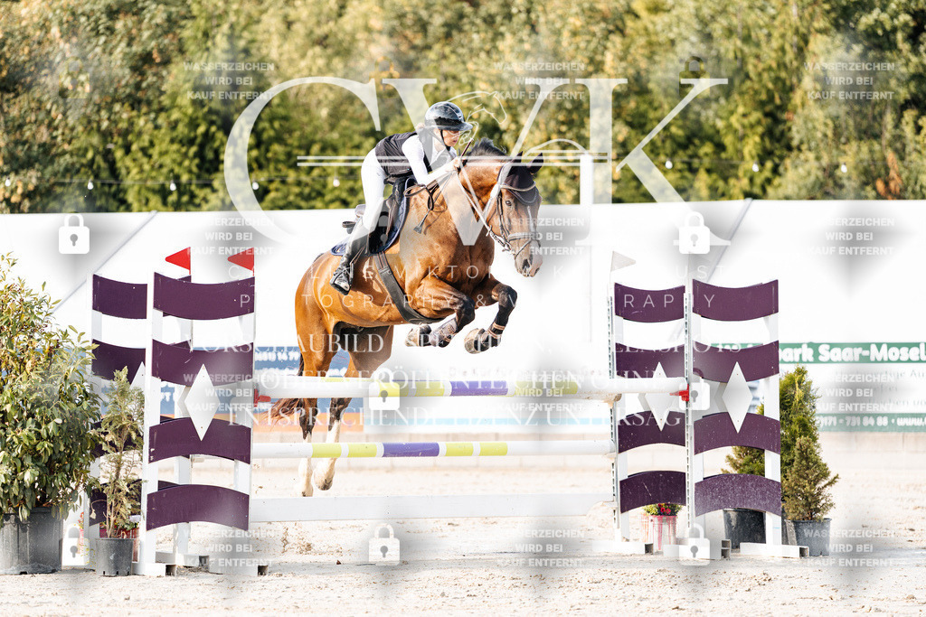 CK903349 | Turnierfotografie Pferdefotografie Trier Rheinland-Pfalz Pferdesport Reitsport Tierfotografie Sportfotografie Pferdevideo Pferdevideografie Equestrianvideography equestrianphotography  - Realisiert mit Pictrs.com
