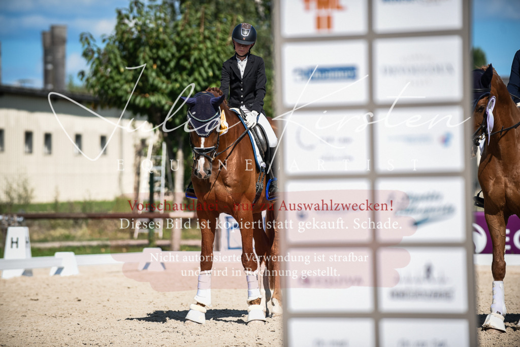 DSC_9718 | Pferde- und Turnierfotografie in Westsachsen. Pferdeportraits, Auftragszeichnungen und intuitive Kunst.