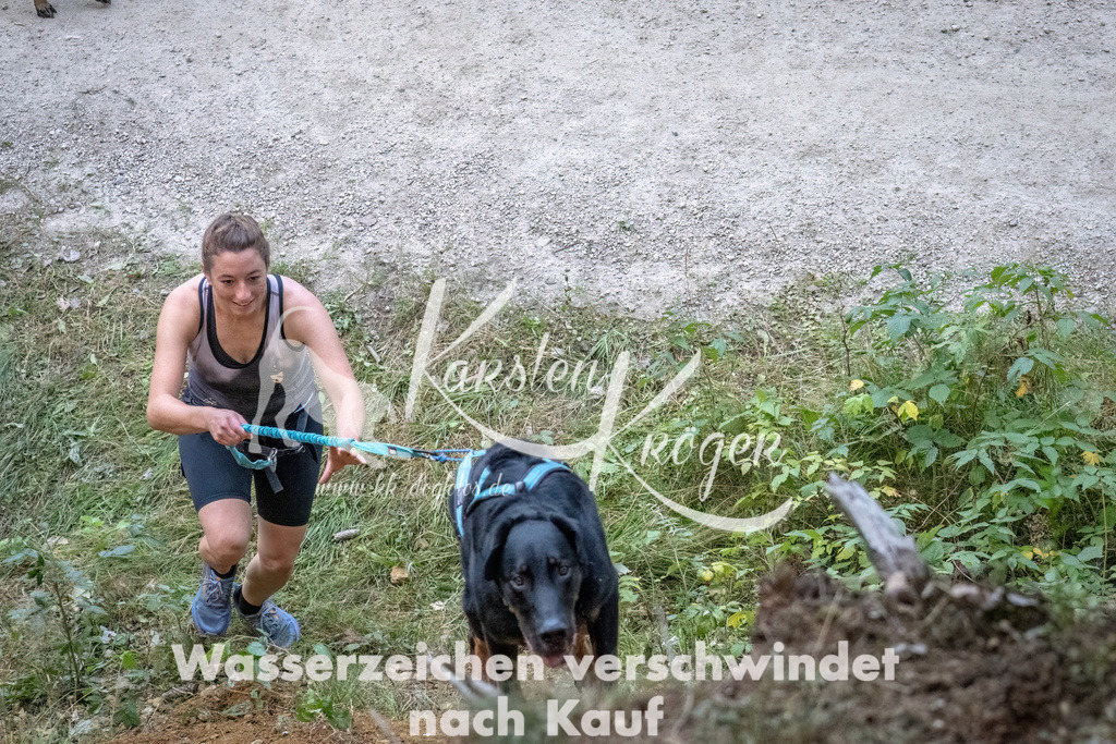 0943_ZZ92704-DeNoiseAI-low-light | kk-dogfotos