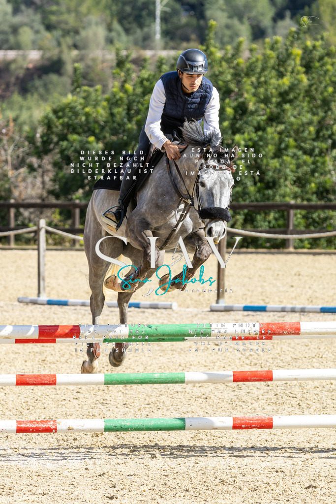 IMG_4101 | s-jay-photography - Realisiert mit Pictrs.com