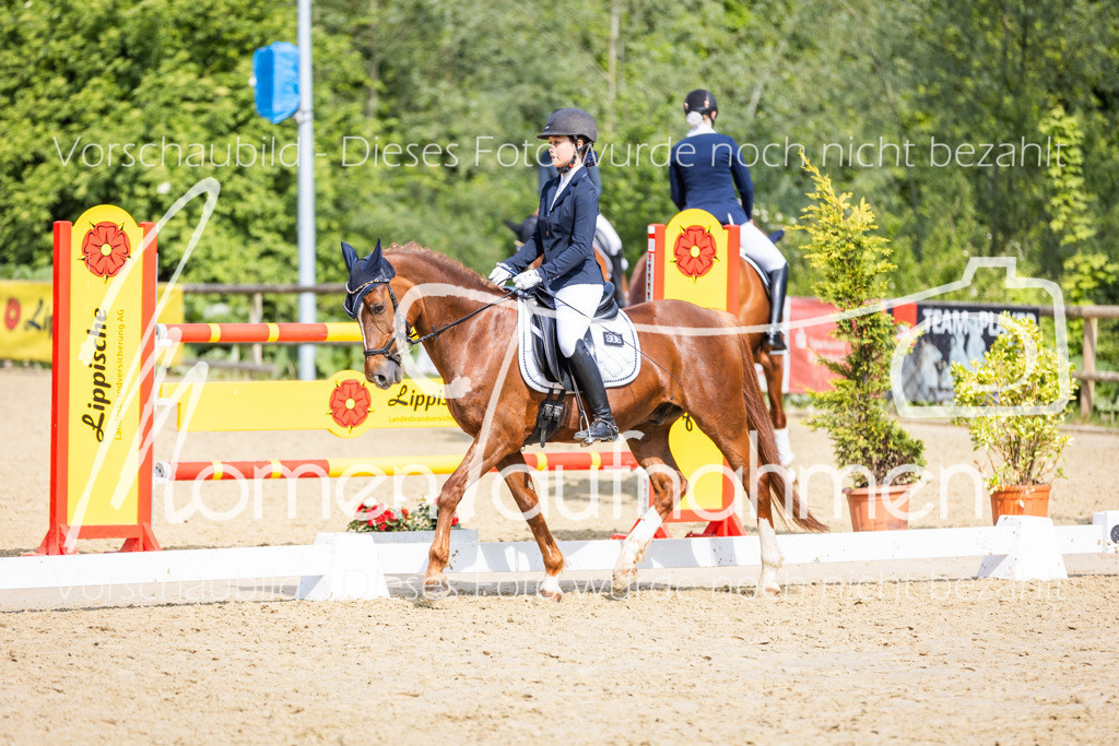 Donop24-A2-Dre-080 | MomenTaufnahmen Pferdesportfotos