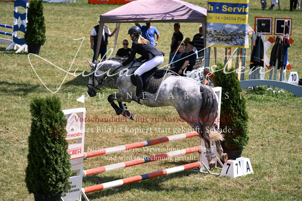 DSC_9596 | Pferde- und Turnierfotografie in Westsachsen. Pferdeportraits, Auftragszeichnungen und intuitive Kunst.