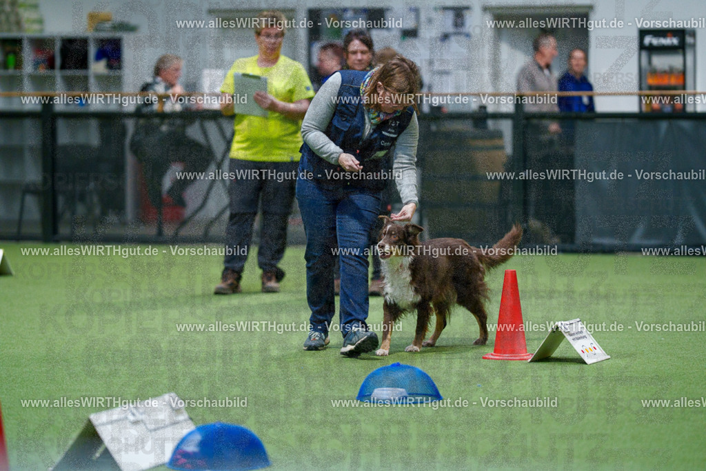 7R504210 | Professionelle Tierfotografie in Mönchengladbach von Daniel Wirth (allesWIRTHgut). Liebevolle & natürliche Bilder von Hunden & Katzen für unvergessliche Erinnerungen.