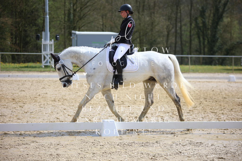 IMGT4874 | pl-fotografie