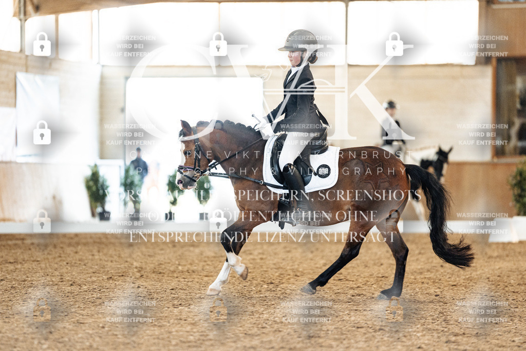 CK907553 | Turnierfotografie Pferdefotografie Trier Rheinland-Pfalz Pferdesport Reitsport Tierfotografie Sportfotografie Pferdevideo Pferdevideografie Equestrianvideography equestrianphotography  - Realisiert mit Pictrs.com