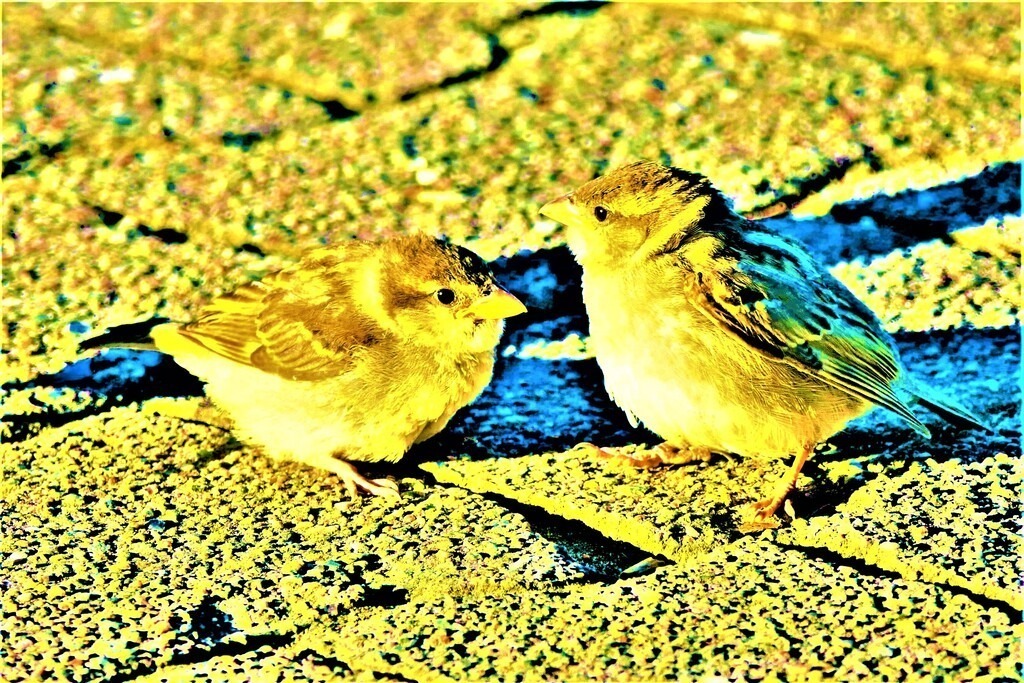 P7410271 (7) | Annaeherungen - Realisiert mit Pictrs.com