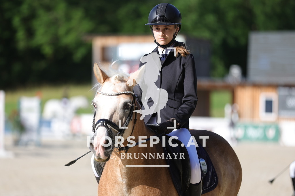 0P6A3336 | Willkommen bei Brunnmayr - Design & Fotografie – Ihrem Spezialisten für Reitturniere und Pferdeveranstaltungen in Oberösterreich, Salzburg und Bayern! Seit über 17 Jahren sind wir leidenschaftlich dabei.