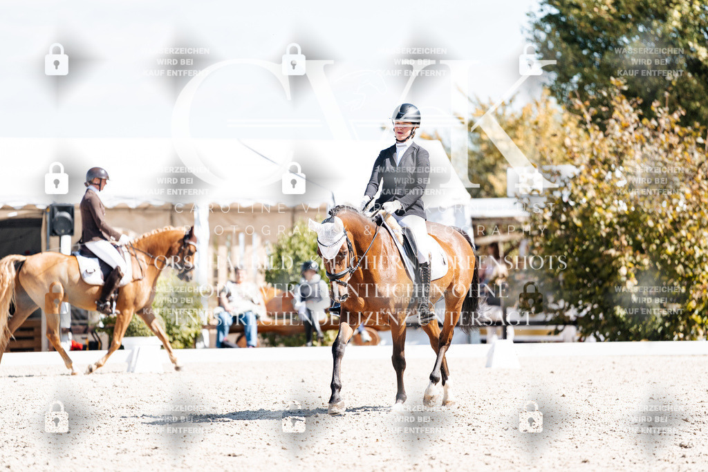 CK903659 | Turnierfotografie Pferdefotografie Trier Rheinland-Pfalz Pferdesport Reitsport Tierfotografie Sportfotografie Pferdevideo Pferdevideografie Equestrianvideography equestrianphotography  - Realisiert mit Pictrs.com