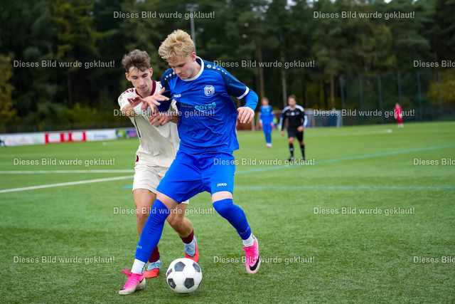 31D07A02-3874-49D5-9EB7-C6B338621555 | sportlensgraems - Realisiert mit Pictrs.com