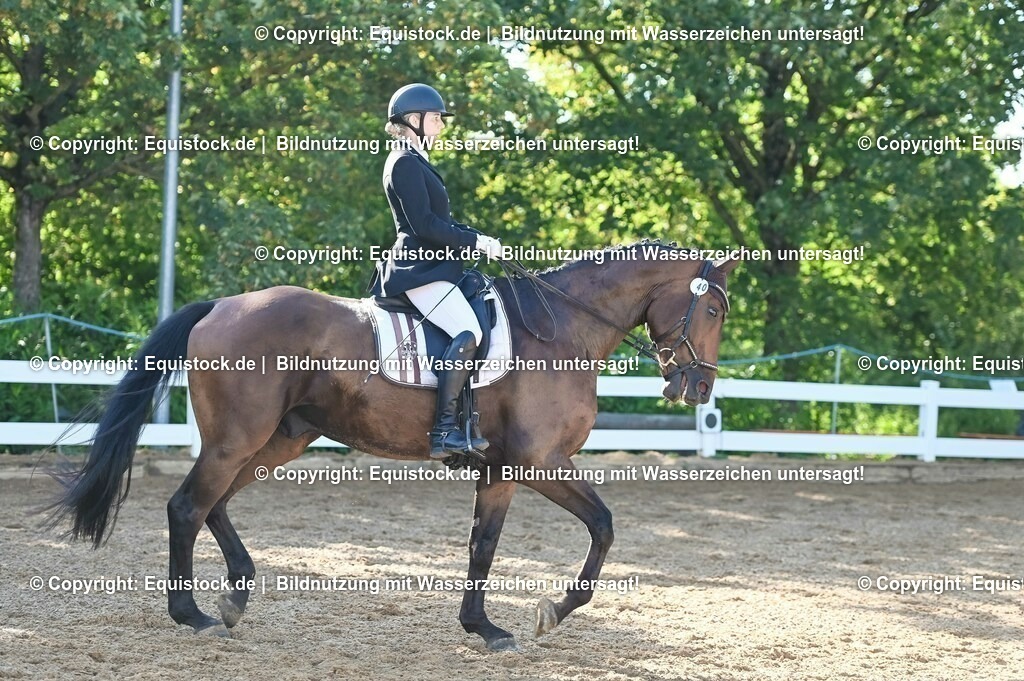 20230715_06_Dressurpferdeprfg. Kl.A_0042 | equistock
