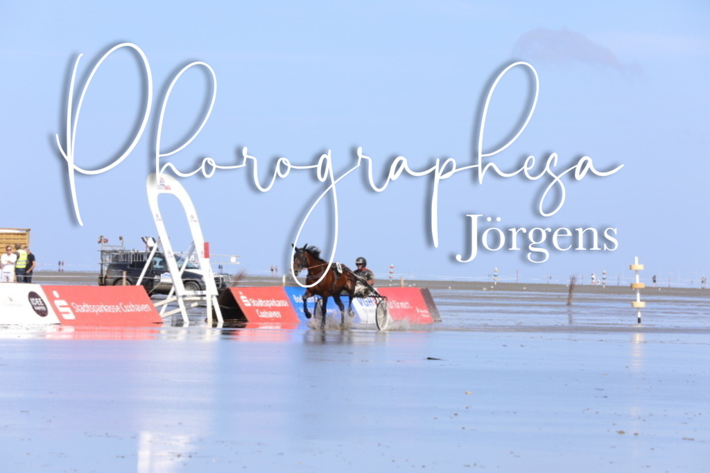 IMG_9499 | photographesa-joergens - Realisiert mit Pictrs.com