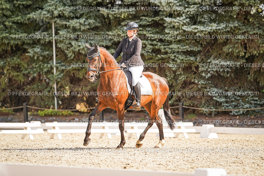 DSC00565 | Pferdegrafie