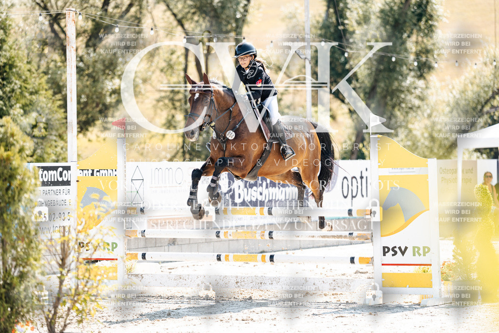 CK908627 | Turnierfotografie Pferdefotografie Trier Rheinland-Pfalz Pferdesport Reitsport Tierfotografie Sportfotografie Pferdevideo Pferdevideografie Equestrianvideography equestrianphotography  - Realisiert mit Pictrs.com