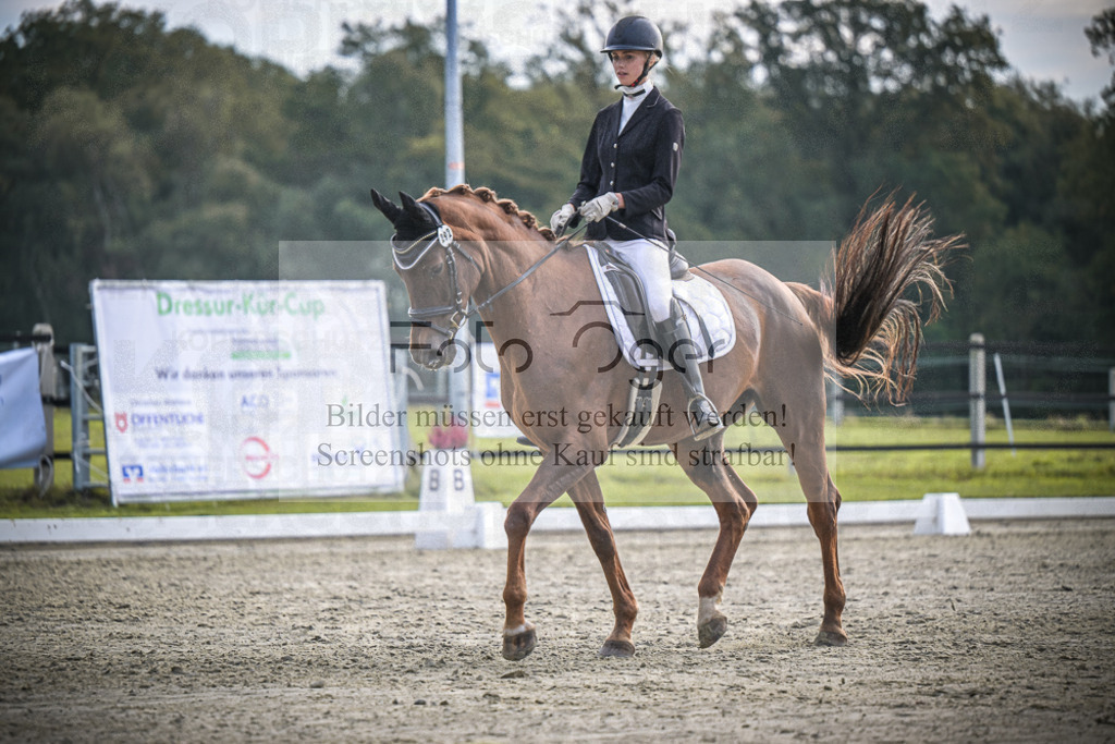 DOS_B104 | Entdecke hochwertige Reitturnierfotos von Foto Oger. Professionell, emotional und authentisch – jetzt Lieblingsmomente im Shop bestellen.Deutschlandweite Turnierfotografie. - Realisiert mit Pictrs.com