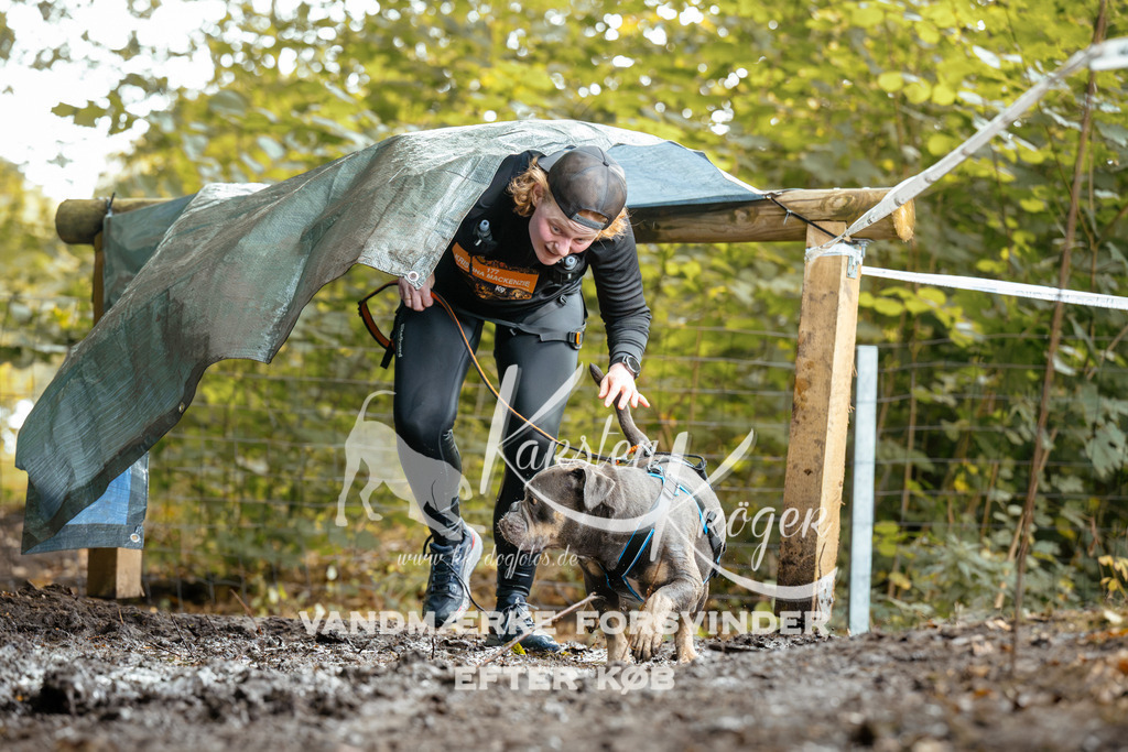 1436DZ6_3198Z6 | kk-dogfotos