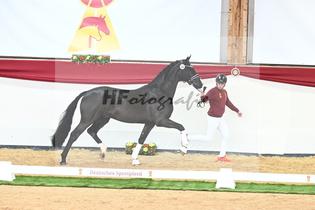 Kat.-Nr. 66 v. Taurus_Beckmann_2240859 | hf-fotografie - Realisiert mit Pictrs.com
