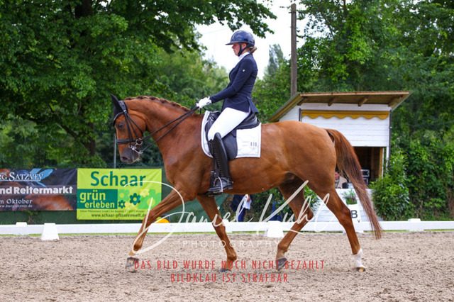 DKP41227 | Turnierfotos kaufen im Webshop von Daniel Kuhl Photography – entdecke professionelle Reitsportfotos aus Turnieren & Events. Hochwertige Turnierbilder online bestellen & sichern. Jetzt Fotos von Reitsportturnieren kaufen!