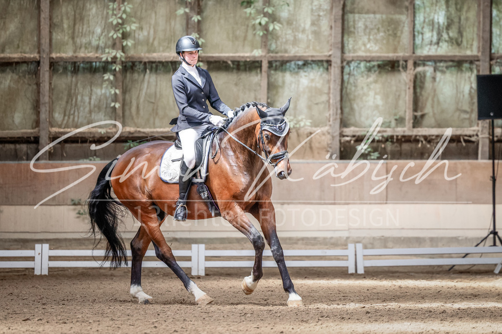 20250622-_3LI1182 | Tierfotografie Pferde, Hunde, Katzen, Haustiere.
Turnierfotografie Reitturniere, Reiten, Springreiten, Dressur in Hanau, dem Main-Kinzig-Kreis und dem Rhein-Main- Gebiet um Frankfurt