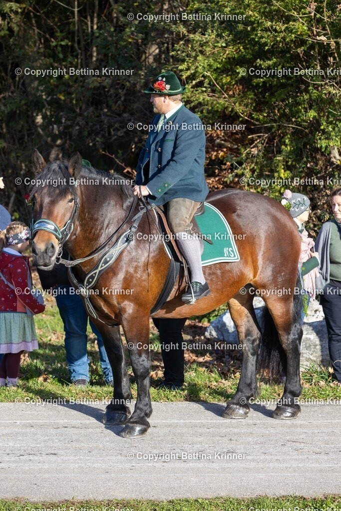 LBT24-185 | foto-bettina-krinner - Realisiert mit Pictrs.com