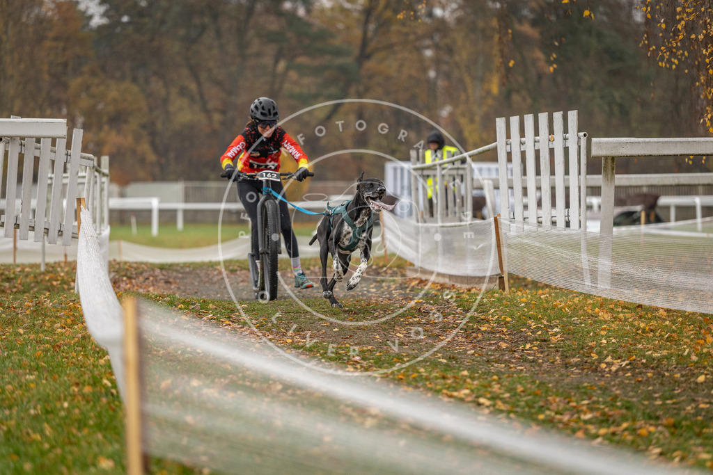 CaniXpix_DV3A8369 | Hundefotografie, Tierfotograf, Pfotenfotografie, Fotoshooting Hund, Hunde Portrait, Hundesport, Hundeportraits, Heideshooting, Hunde, Sportfotograf, Hundefotograf, Turnierhundsport, THS,  - Realisiert mit Pictrs.com