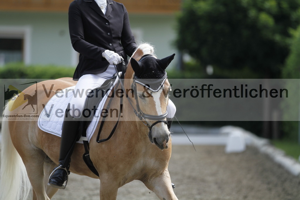 _MG_9764 | equestrian-live-com