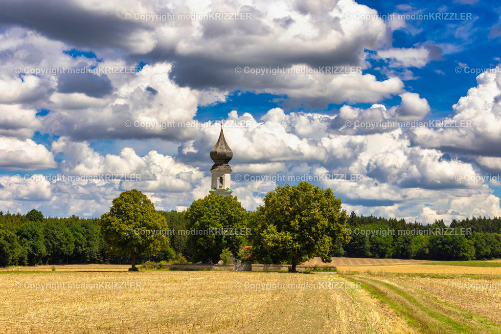 _J3A8358 | medienkrizzler - Realisiert mit Pictrs.com