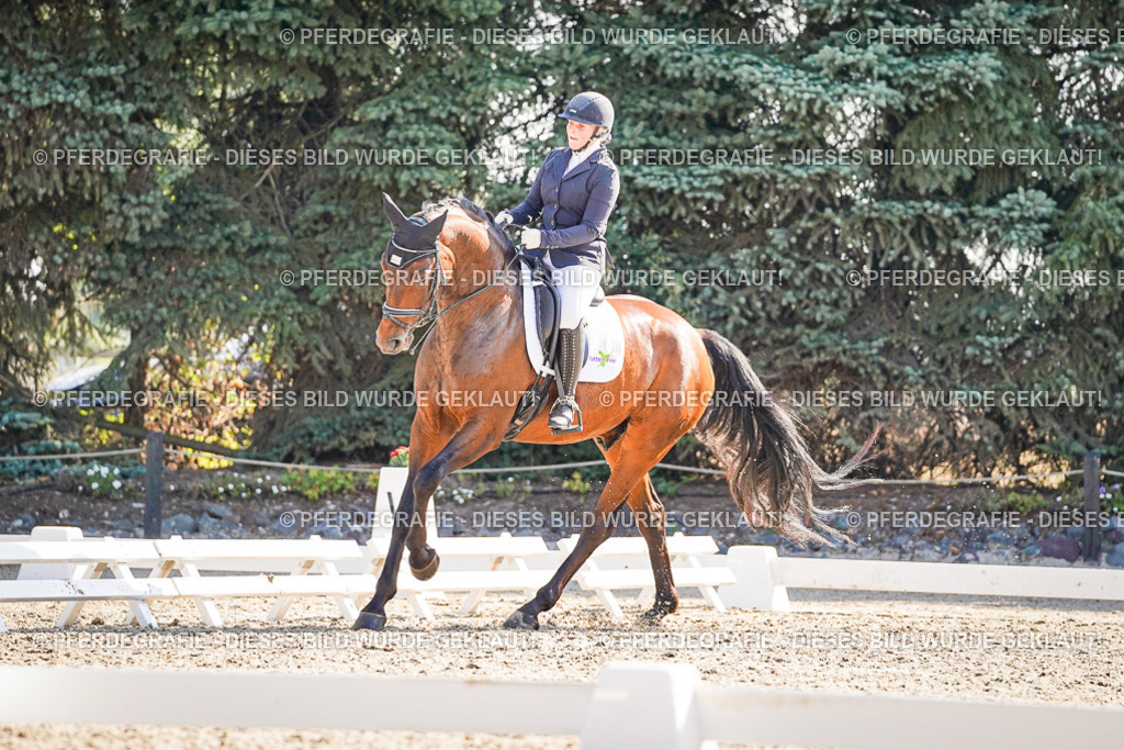 DSC09700 | Pferdegrafie