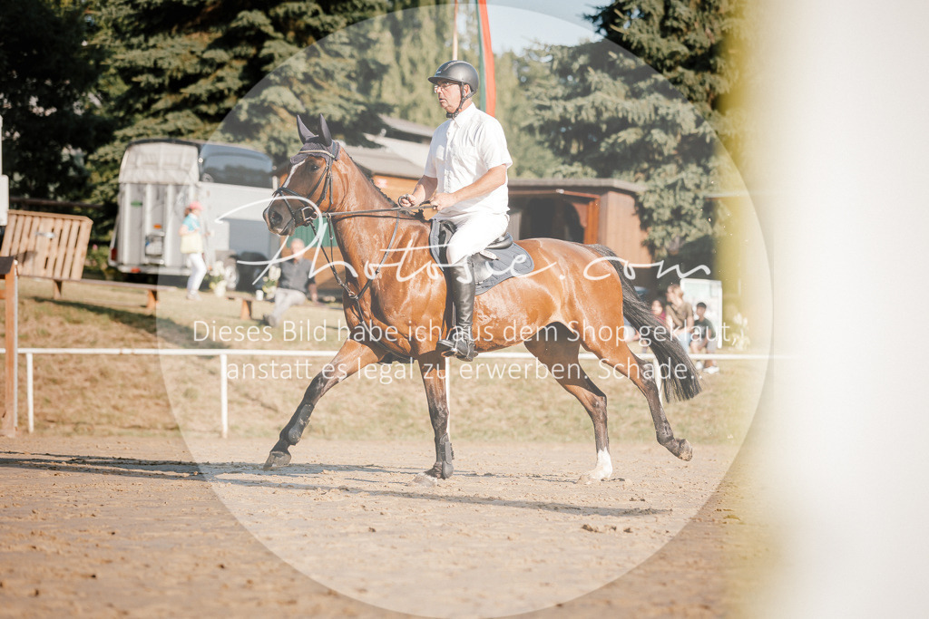 3I6A6187 | Stimmungsvolle Portraits und Reitsportfotografie im Ruhrgebiet und im Münsterland.

Pferdefotografie, Hundefotografie, Tierfotografie, Reportagen, Portraits von Tier und Mensch, Turnierfotografie in Bochum, Recklinghausen, Marl, Haltern am See, Dülmen.. - Realisiert mit Pictrs.com