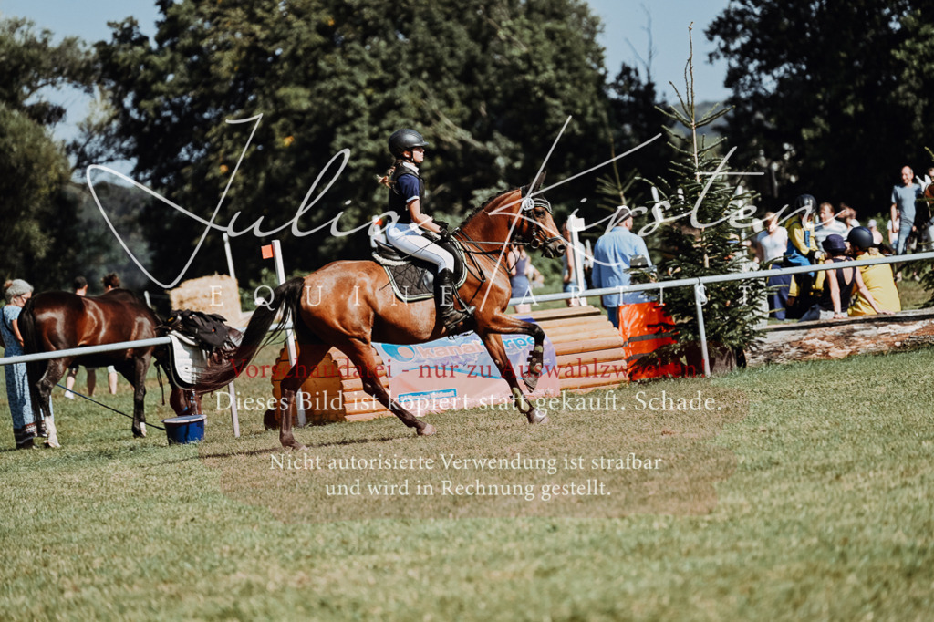 DSC_6731 | Pferde- und Turnierfotografie in Westsachsen. Pferdeportraits, Auftragszeichnungen und intuitive Kunst.