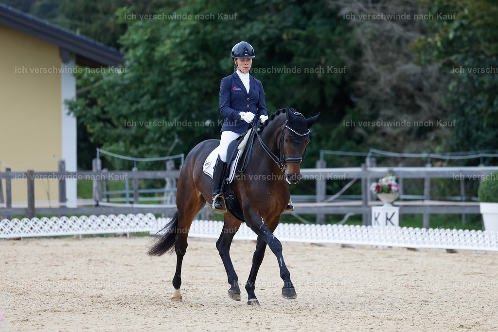 3-241-Dressur M_-StoibPH-2327 | working equitationturnier fotograf videograf stoibphotography marixx film working equitation deutschland reitsport turnierfotografie eventfotografie equestrian events