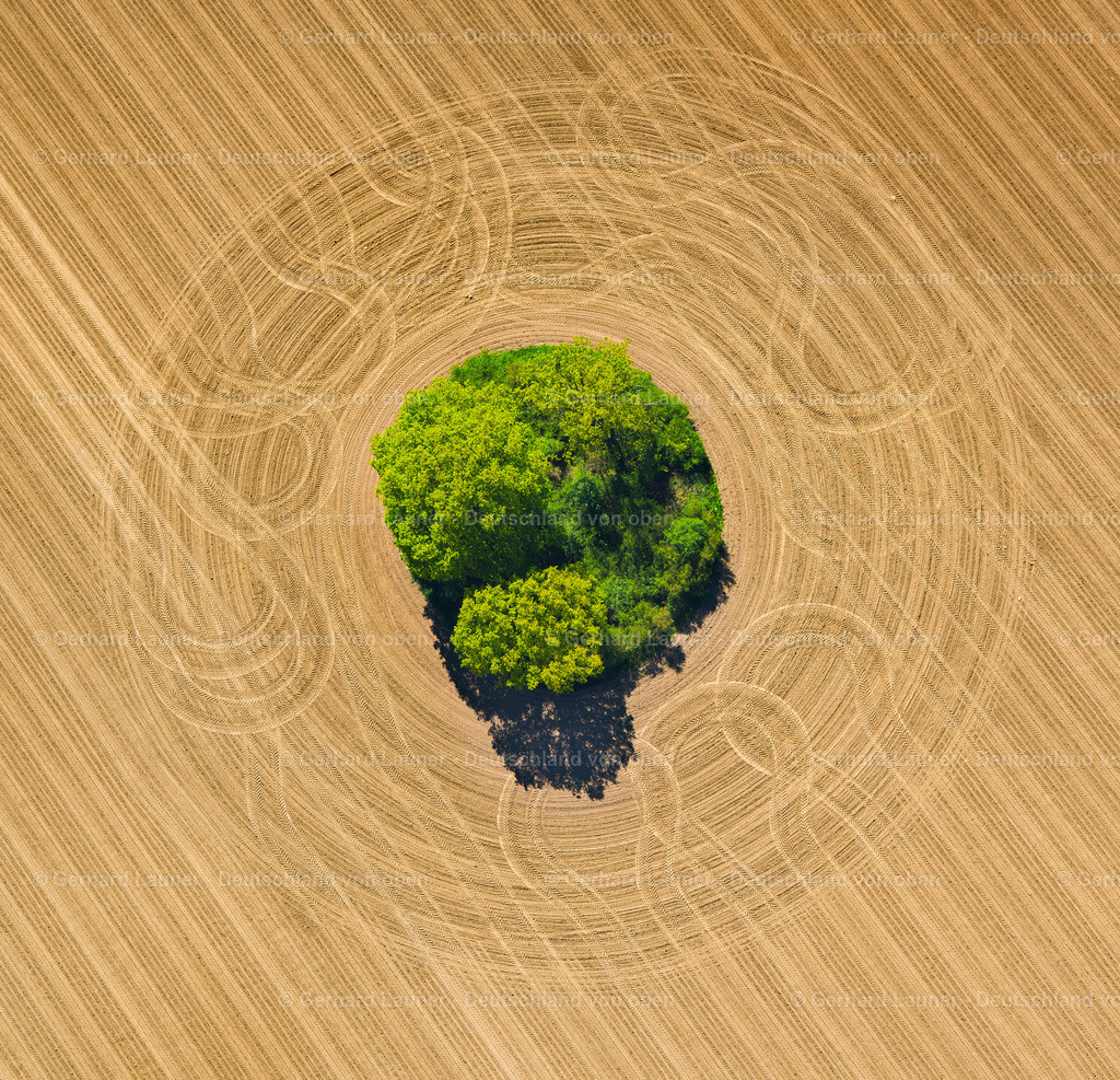 3801183 | Feldstrukturen bei Perlin