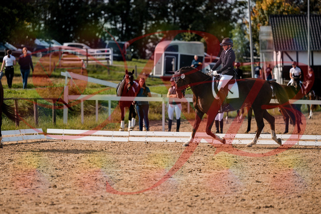 2026_10_03_Siefer-Hof_132130_Z63_82990555 | Professionelle Reitsport-, Turnier- und Eventfotografie von Robert Broda. Galerien mit ausgewählten und bearbeiteten Bildern direkt online ansehen und bestellen.