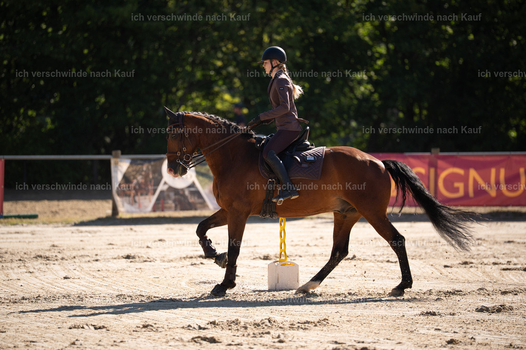 WL_SP_105_Stoibphotography_SO15032 | working equitationturnier fotograf videograf stoibphotography marixx film working equitation deutschland reitsport turnierfotografie eventfotografie equestrian events