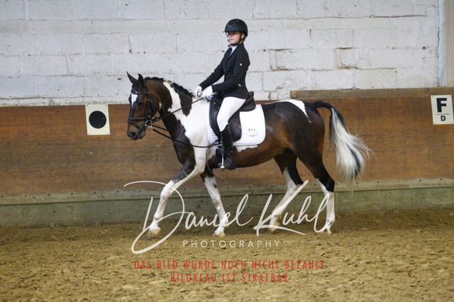 DKP44480 | Turniersportfotografie; Pferdefotografie; Dressurfotografie