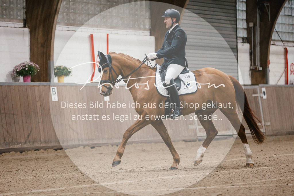 3I6A5867 | Stimmungsvolle Portraits und Reitsportfotografie im Ruhrgebiet und im Münsterland.

Pferdefotografie, Hundefotografie, Tierfotografie, Reportagen, Portraits von Tier und Mensch, Turnierfotografie in Bochum, Recklinghausen, Marl, Haltern am See, Dülmen.. - Realisiert mit Pictrs.com