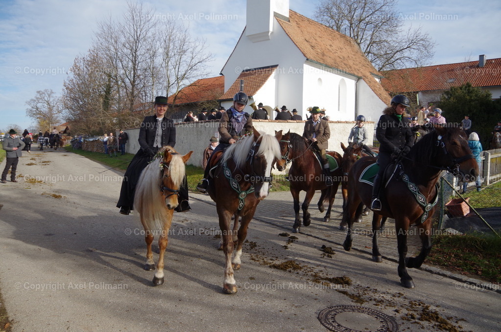 IMGP1104 | fotografiert von Axel PollmannLeonhardi Wallfahrt Benediktbeuern und Murnau, Fronleichnam, Fasching, Landschaft im Loisachtal und Benediktbeuern  - Realisiert mit Pictrs.com