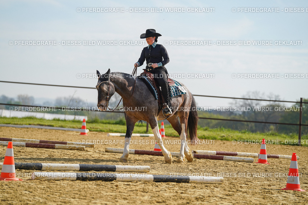 DSC01157 | Pferdegrafie