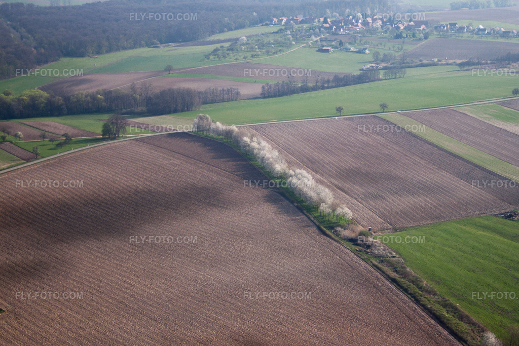 Aerial view: View of the town in Surbourg in the state Bas-Rhin, France.Photo: IMG_63789.jpg taken on 03/30/2014 by Werner Riehm/FLY-FOTO.comResolution of the original: 4323 x 2882 px